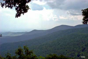 Georgia Appalachian Trail